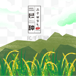 稻谷穗图片_手绘夏季芒种稻谷