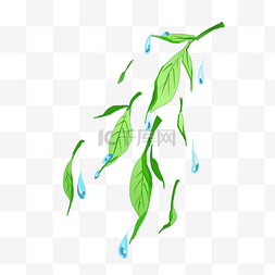绿叶和水滴 
