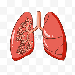 呼吸综合症图片_手绘人体器官肺插画