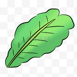 绿色叶子青菜