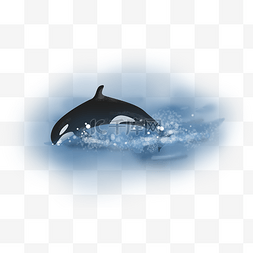 手绘海洋浪花图片_世界海洋日可爱虎鲸