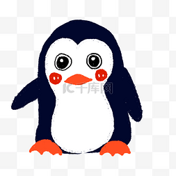动物南极图片_可爱南极动物企鹅插画