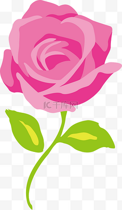 手绘玫瑰花装饰图片_矢量手绘玫瑰花朵