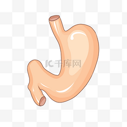 手绘医疗器官主题胃卡通插画