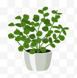 绿植植物插画图片_新鲜绿植盆栽插画