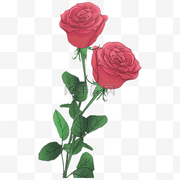 玫瑰花粉色手绘图片_手绘唯美玫瑰花元素