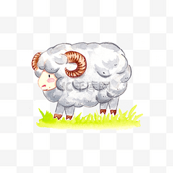 可爱小动物水彩图片_水彩手绘可爱小绵羊png
