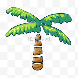 绿色的椰子树木插画