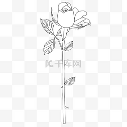 vip印花图片_手绘黑白玫瑰花