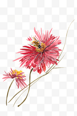   花朵和蜜蜂