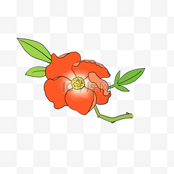 手绘花卉植物红色蔷薇花