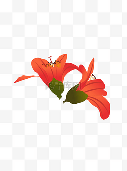 木棉花素材图片_手绘木棉花元素之卡通红色植物花