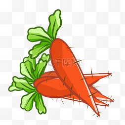 促进农民图片_手绘成熟红萝卜