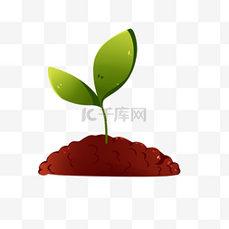 豆子蔬菜图片_豆芽种子绿色食品蔬菜农作物