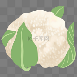 白色花菜 