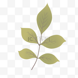 树叶插画免费下载图片_绿色的枝条免抠图