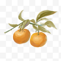 橘子插画素材图片_秋收季节水果橘子插画