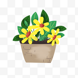 手绘黄色鲜花图片_黄色鲜花绿色盆栽