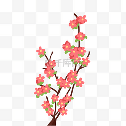 粉色花开花朵插画