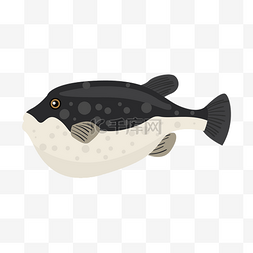 黑色的深海鱼