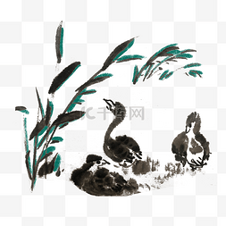 手绘植物竹子图片_鸭子国画水墨插画