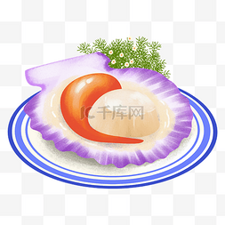 粒子海洋图片_手绘海鲜美食美味贝壳之大颗美味