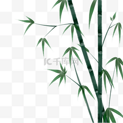 竹子水彩手绘图片_绿色的手绘竹子插画