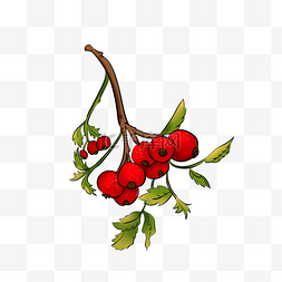 红色枝叶图片_红色的手绘果子