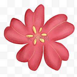 粉色绽放樱花PNG图片