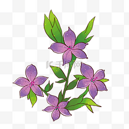 紫色花卉插画图片_手绘紫色花卉花朵插画