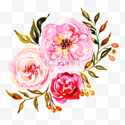 粉色的鲜花手绘插画