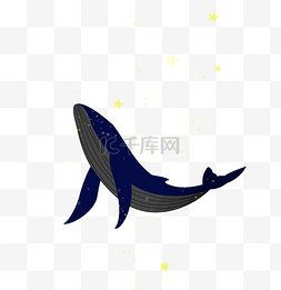 蓝色黑夜星空图片_徜徉在黑夜里的小海豚