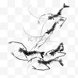 虾插画图片_黑白线条水墨小龙虾