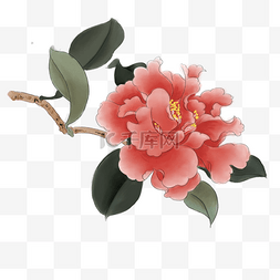 中国风手绘牡丹花