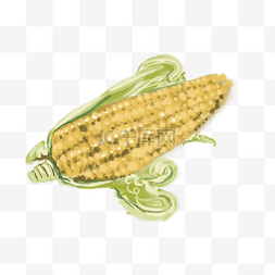 小清新简单海报图片_黄色写实玉米食材烹饪