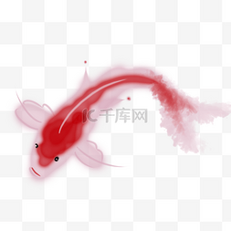 锦鲤红色鱼鳞