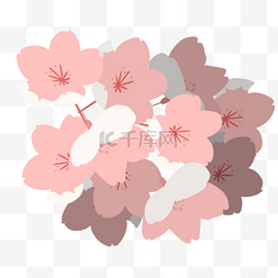 公园樱花图片_樱花节樱花