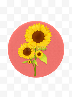 黄色小太阳图片_设计元素手绘花之盛夏向日葵