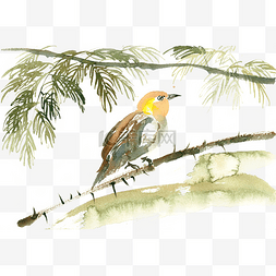 榕树下的鸟水彩画PNG免抠素材