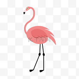 粉红色火烈鸟矢量绘画