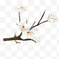 树枝叶图片_卡通手绘白色花朵插画