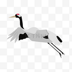 白鹤的插画图片_飞行的白鹤手绘插画