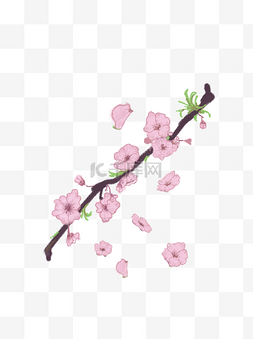 樱花樱花粉手绘简约唯美落叶树枝
