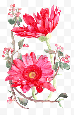 手绘红色的水彩花卉插画
