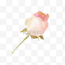 鲜花手绘素材图片_森系小清新水彩手绘花朵玫瑰