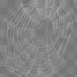 卡通蜘蛛网素材图片_蜘蛛网白色网状蜘蛛网元素