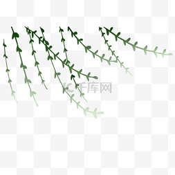 纹理柳树图片_绿色植物柳树叶子元素