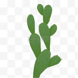 绿色带刺植物图片_仙人掌植物