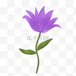 淡雅唯美花朵图片_紫色绚烂唯美小花