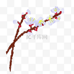 插画樱花手绘装饰